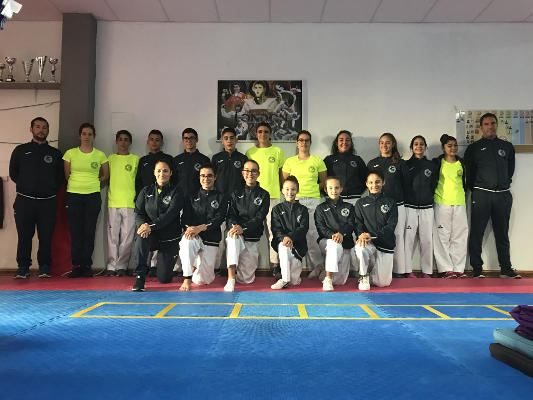 la laguna escuela taekwondo 2017