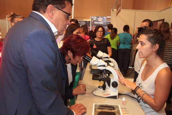 lanzarote miniferias 2017