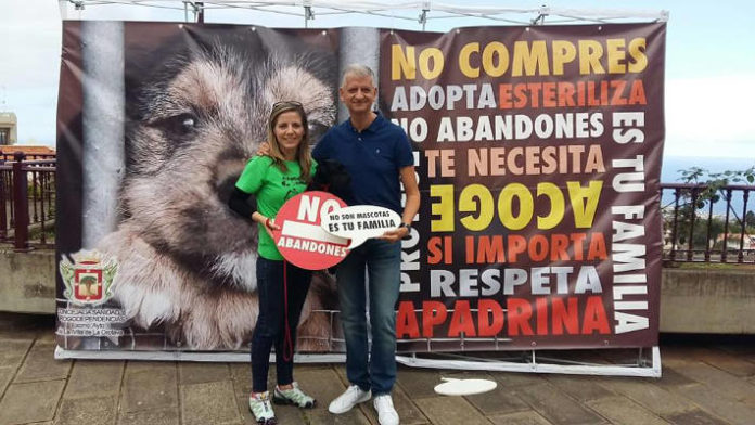 laorotava paseo canino 2017