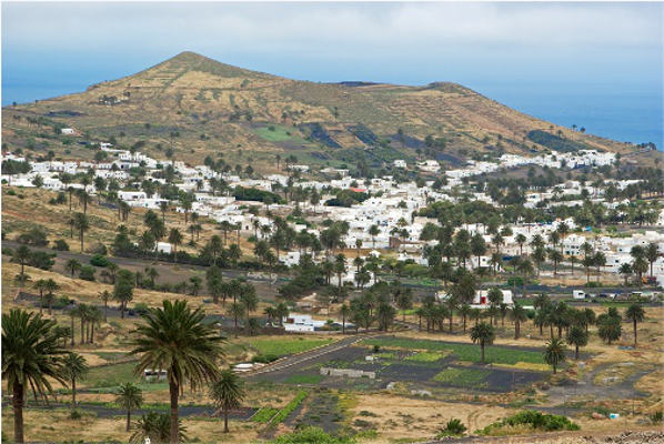 haria palmeral 2018