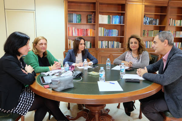 gobcan valido Reunión Cruz Roja 2018