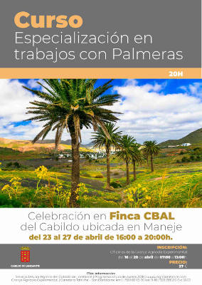 lanzarote palmeras formacion 2018