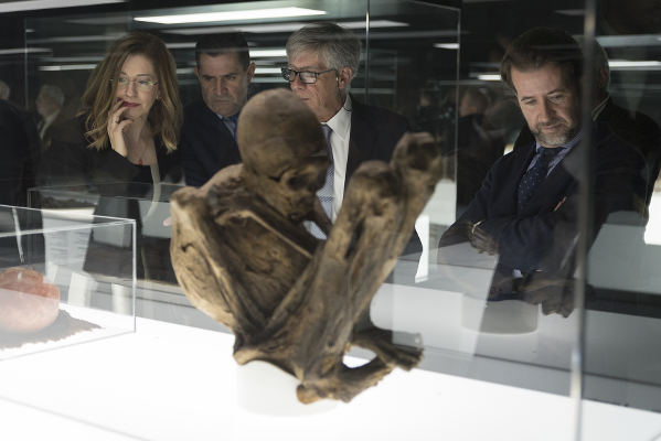 tenerife Athanatos museos 2018