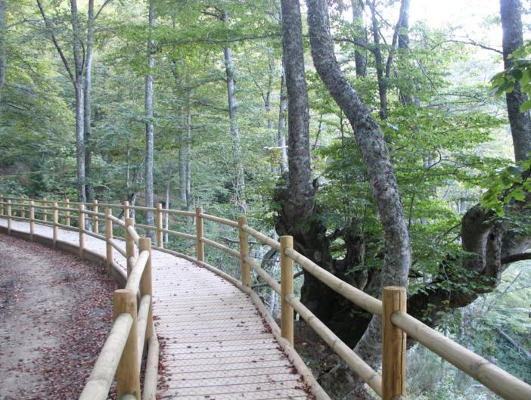 ana mengibar sendero accesible 2018