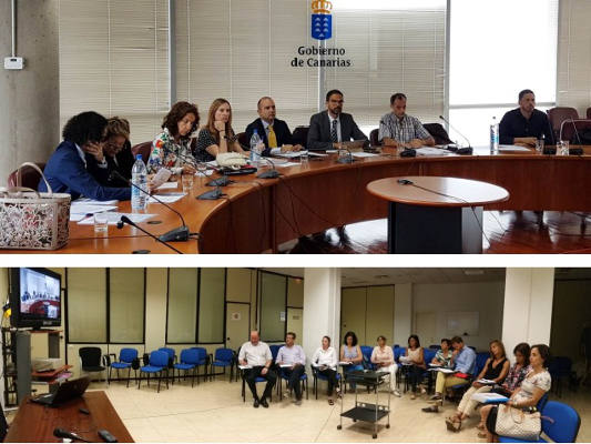 gobcan Consejo rector del ICASEL 2018