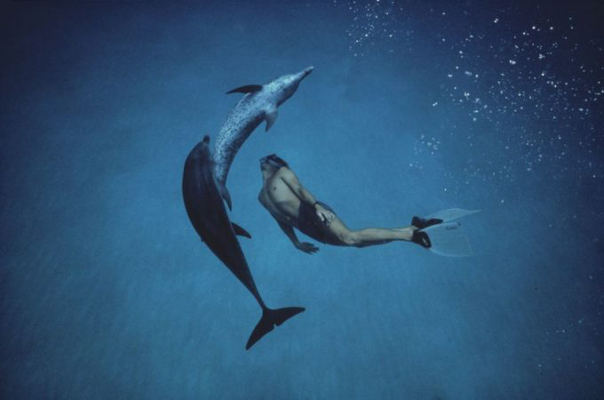 gobcan dolphin man 2018