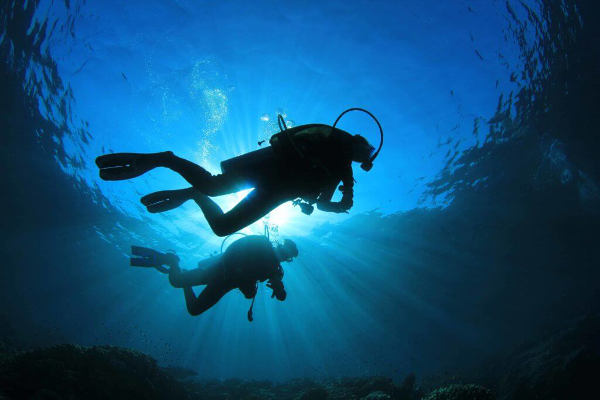 la orotava Buceo 2018