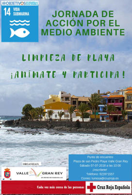 valle greyLimpieza de playas 2018