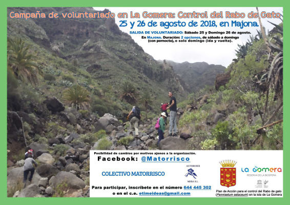 la gomera control rabo de gato 2018