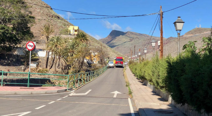 la gomera poda laurel 2018