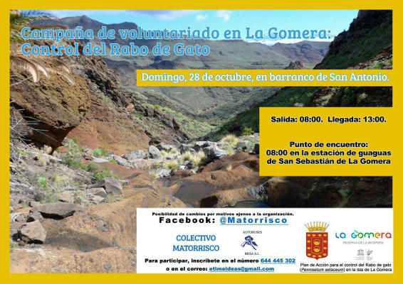 la gomera rabo de gato 2018