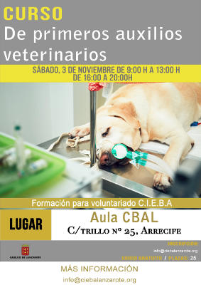 lanzarote primeros auxilios veterinarios 2018