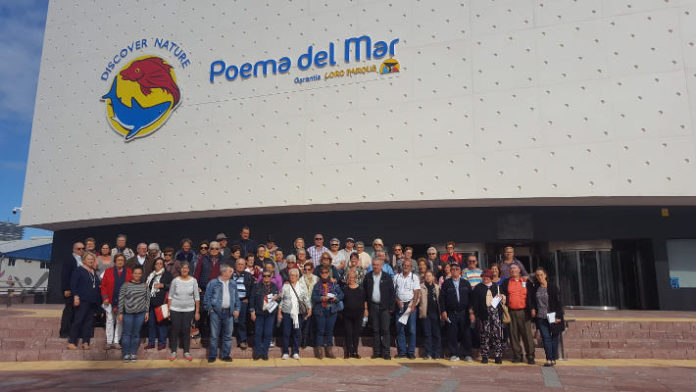 sanmiguel mayores las palmas 2018