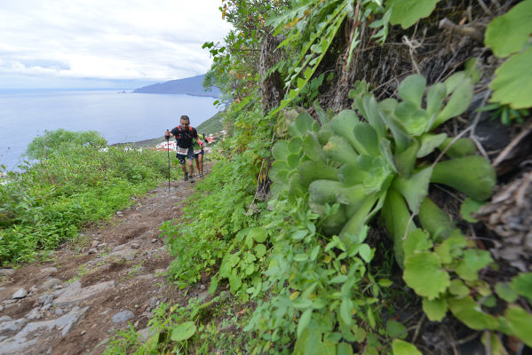 el hierro ley deporte 2019