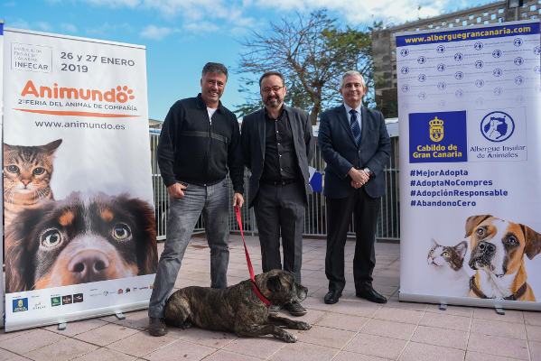 gcanaria animundo 2019