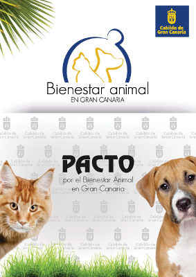 gcanaria pacto animal 2019
