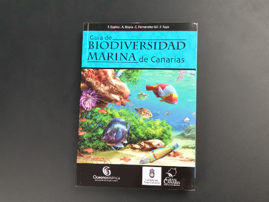 gcanaria guia marina 2019