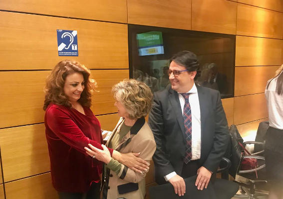 gobcan Cristina Valido Consejo Territorial Servicios Sociales 2019