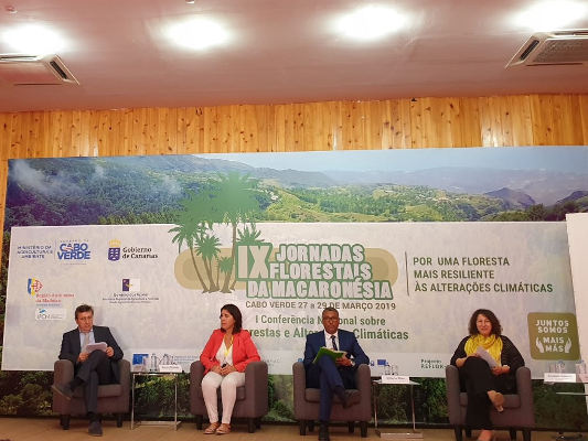 gobcan blanca perez medio ambiente 2019