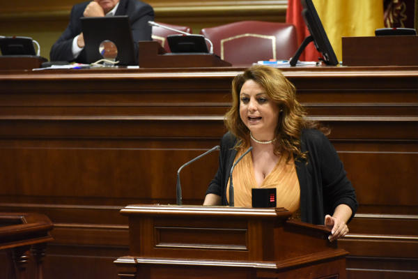 gobcan cristina valido 2019
