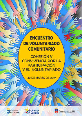 telde voluntariado 2019
