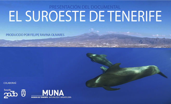 tenerife Suroeste 2019