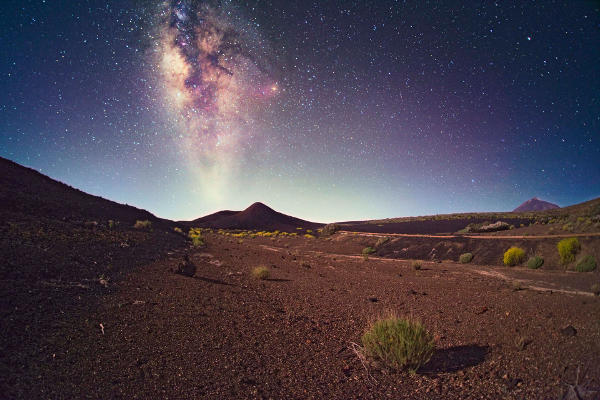 tenerife turismo comercializacion 2019