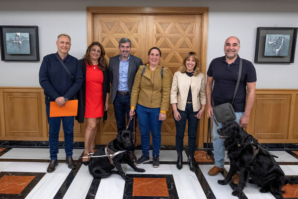gobcan Reunión Asociación Perros guías 2019