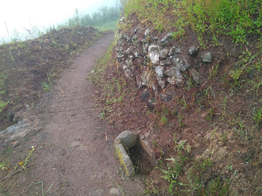 gcanaria El tablero 2019