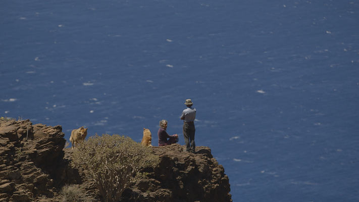 gcanaria medio ambiente 2019