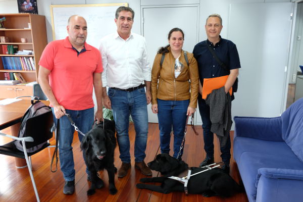 gobcan perros Asistencia 2019
