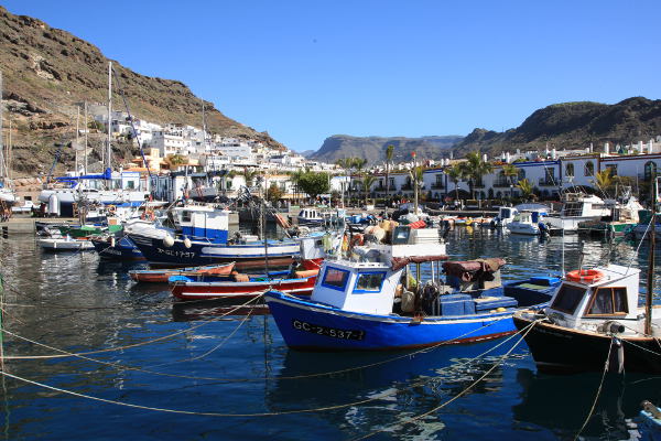 gcanaria subvencion pesca 2019