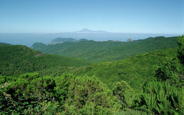 la gomera Parque Nacional de Garajonay 2019