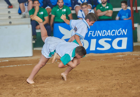 tenerife XXXII juegosLucha canaria 2019