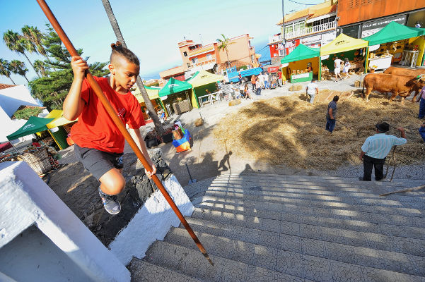 tenerife ferias 2019