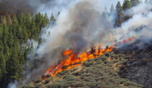 gcanaria incendio 2019