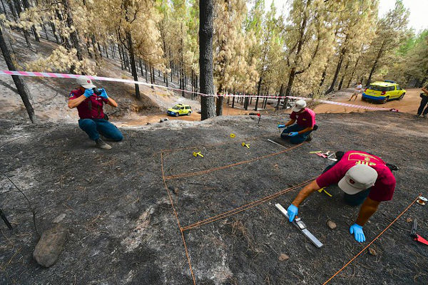 gcanaria investigacion incendios 2019