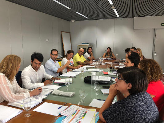 gobcan noemi santana y cabildos 2019