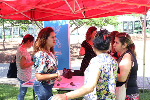 tenerife Consejera Carmen Luz Baso Taco 2019