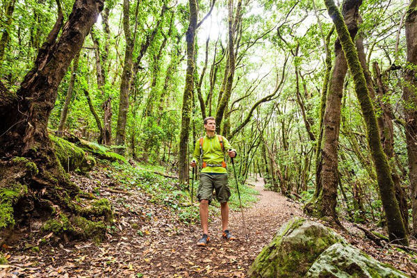 La gomera Senderista en el Parque Nacional de Garajonay 2019