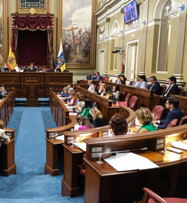 grupo parlamentario socialista 2019