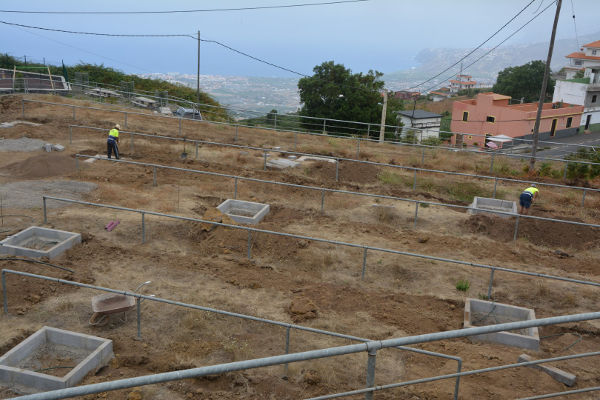 la orotava reforestacion PARQUE BENIJOS 2019