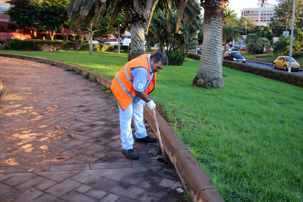 sc tenerife Parques y jardines 2019