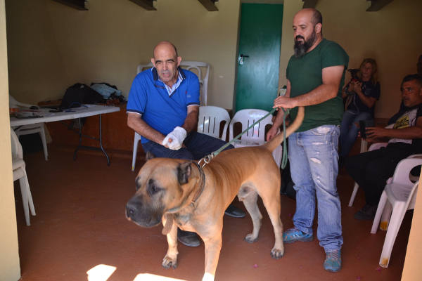 aguimes TECNICO UNIDADES CANINAS DE BUSQUEDA Y PROTECCION 2019