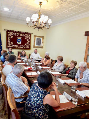 el sauzal Pleno Mayores 2019