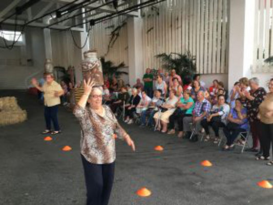 el sauzal mayores 2019