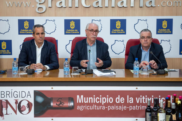 gcanaria cultura vitivinicola 2019
