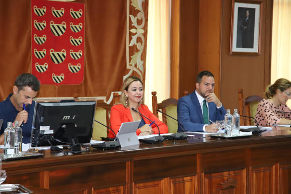 lanzarote Pleno ordinario 2019
