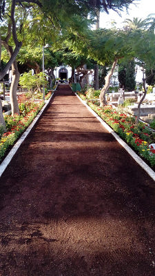 puerto cruz cementerio 2019