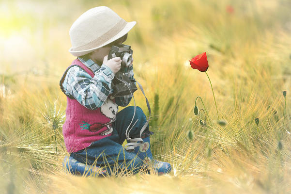 tenerife Taller fotografía naturaleza y jazz 2019